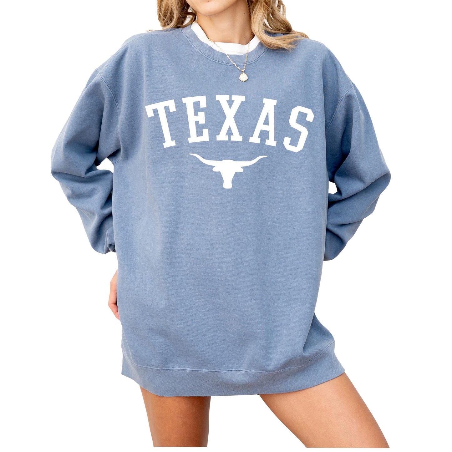 Tee Territory Texas Skull Sweatshirt, Graphic Pullover for Women, Men, Unisex, 80% Cotton