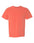Bright Salmon