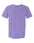Comfort Colors Unisex Garment-Dyed Heavyweight T-Shirt - 1717