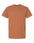 Comfort Colors Unisex Garment-Dyed Heavyweight T-Shirt - 1717
